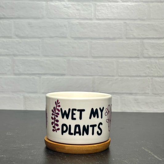 Wet my Plants mini planter